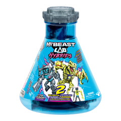 Mr. Beast Lab