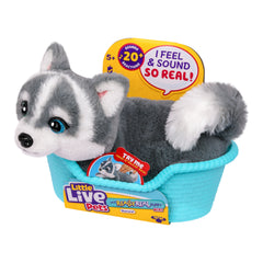 Little Live Pets