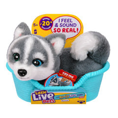 Little Live Pets