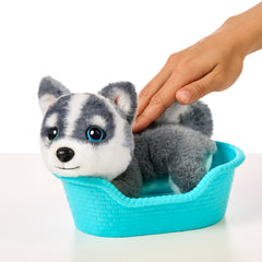 Little Live Pets