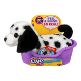 Little Live Pets