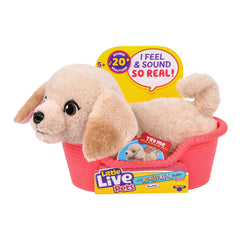 Little Live Pets
